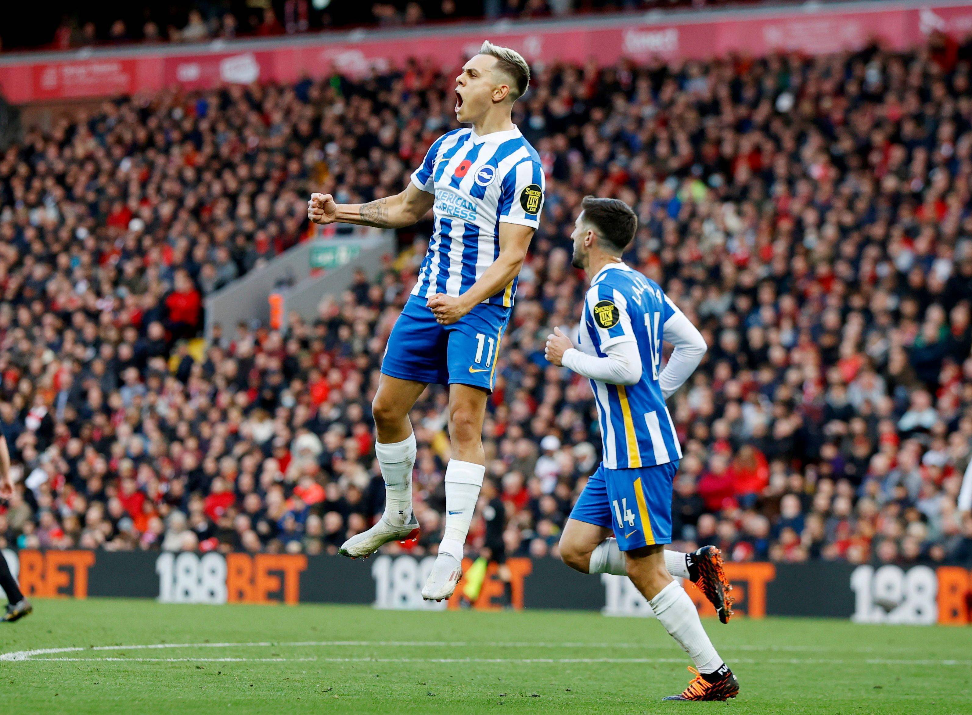 浦后迎来了 浦后迎来了