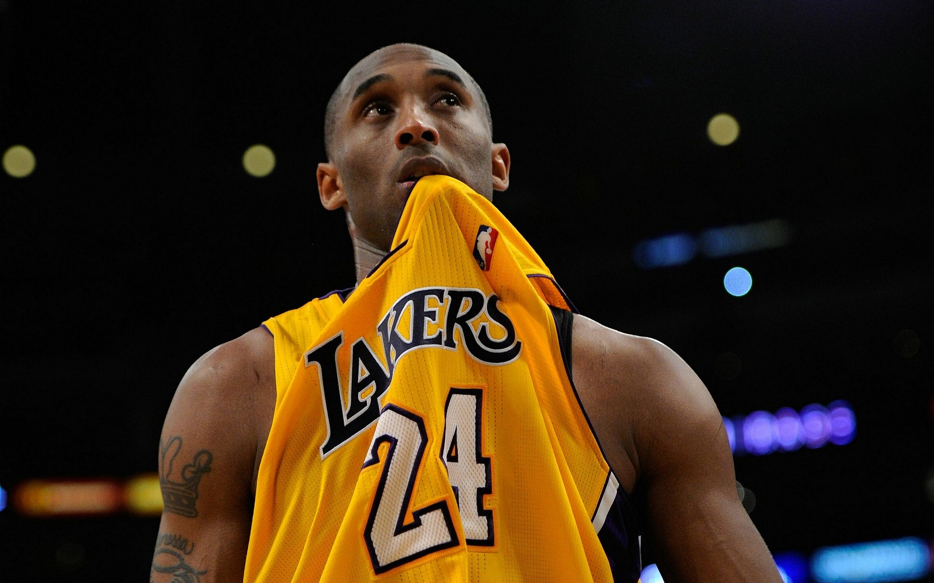 内容方面都 内容方面都